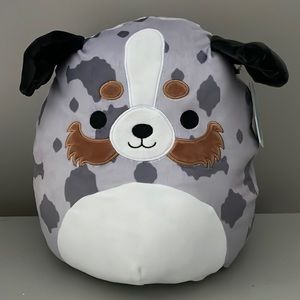 Raylor the Australian Shepard Squishmallow